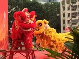 庆典开业舞狮