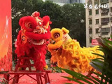 庆典开业舞狮