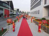 大型威风锣鼓演出