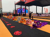 舞狮表演